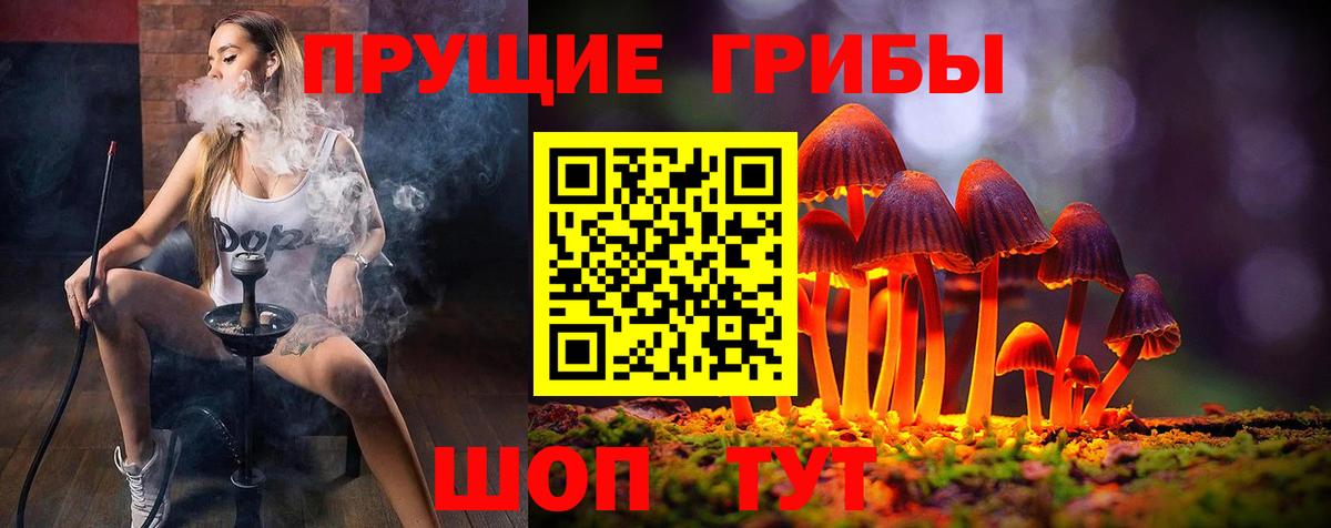 Лабинск  Галлюциногенные грибы Psilocybe  Вход с VPN 